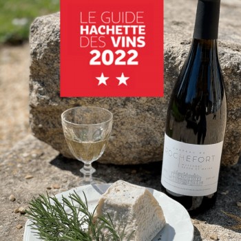 Vin Blanc 2020 – Sélection du Guide Hachette 