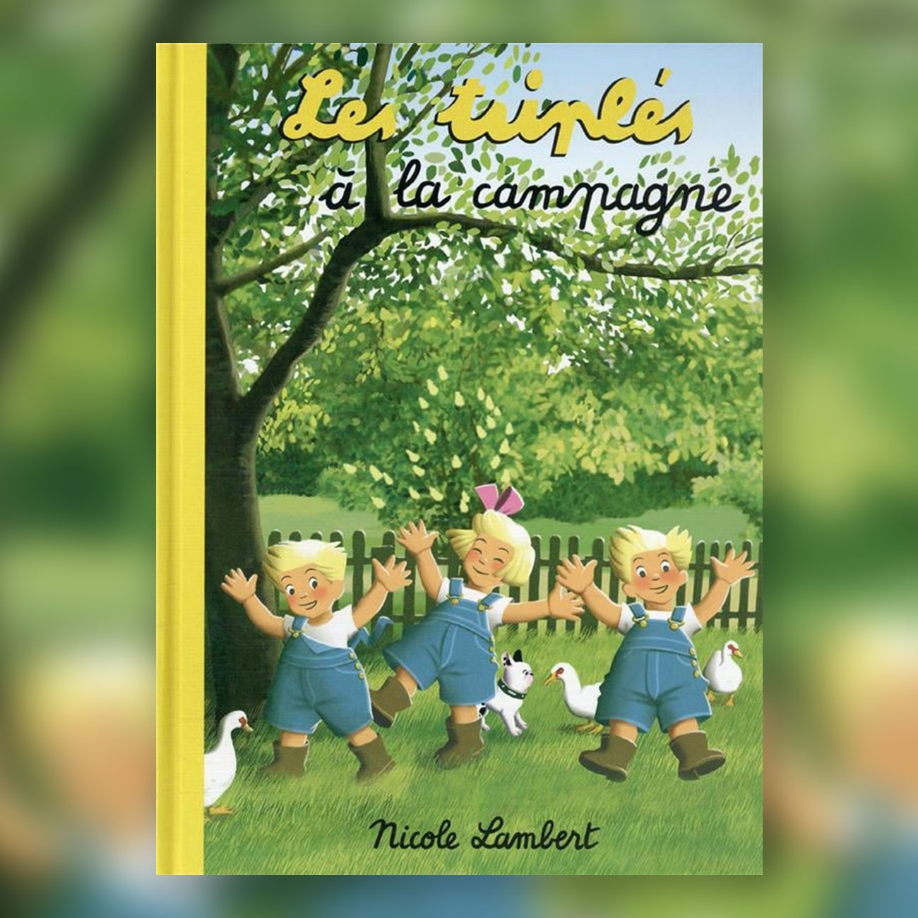 Les triplés à la campagne Les triplés à la campagne